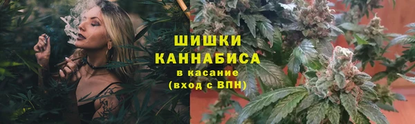 гашик Наволоки