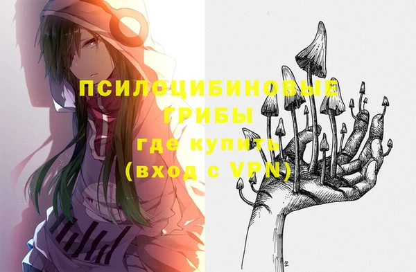 гашик Наволоки