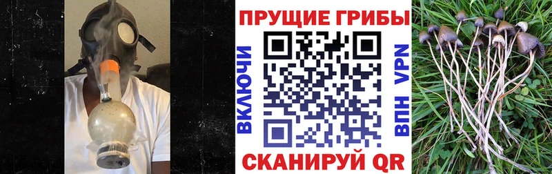 Галлюциногенные грибы GOLDEN TEACHER  где найти   Арзамас 