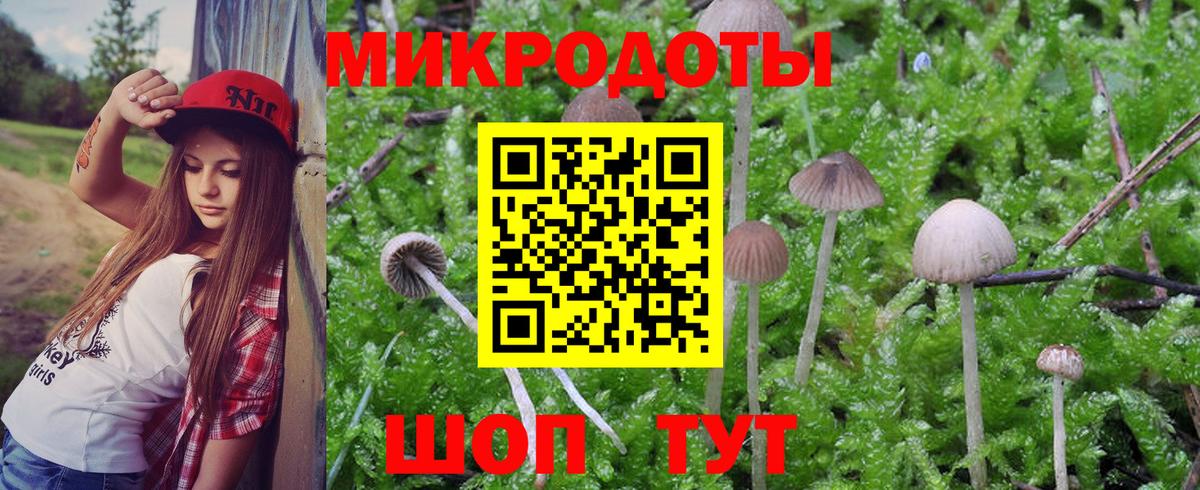 цена наркотик  Вход с VPN  Арзамас  Псилоцибиновые грибы Psilocybine cubensis 
