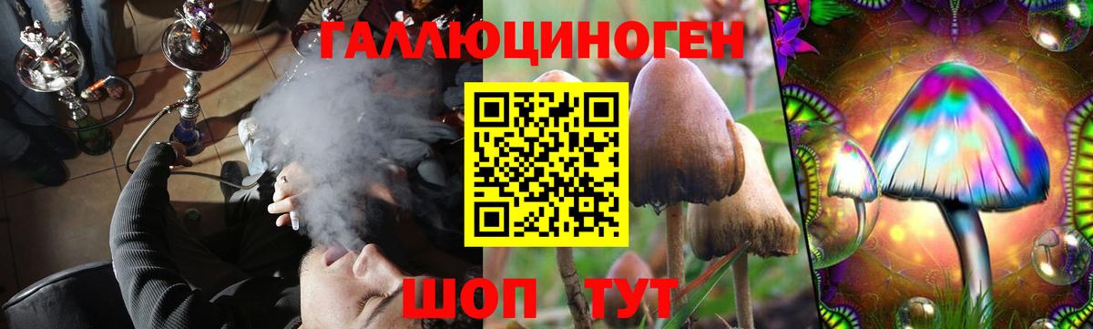 Псилоцибиновые грибы мицелий Арзамас